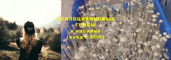 мдпв Красноперекопск