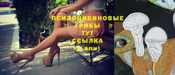 амф Краснотурьинск