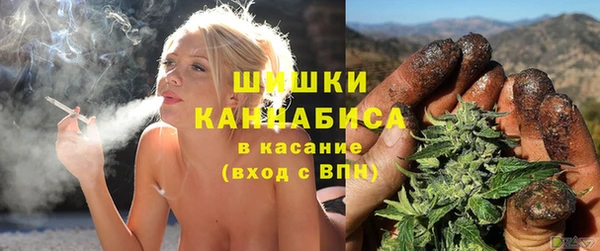 ГАЛЛЮЦИНОГЕННЫЕ ГРИБЫ Краснослободск