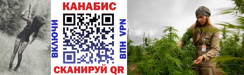 Канабис гибрид  Купить где  Кедровый 
